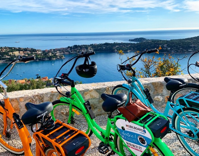 ELECTRIC BIKE RENTAL - Day