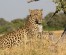 Discover Maasai Mara: 3-Day Group Safari Excursions