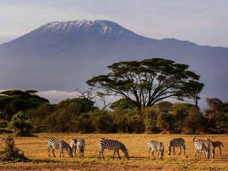 Ultimate 6-Day Amboseli-lake Naivasha-lake Nakuru-masai mara.