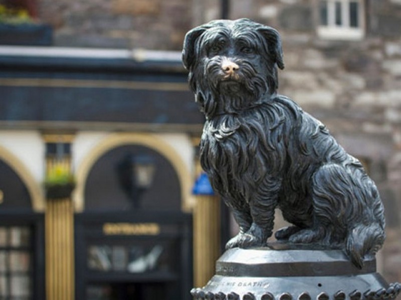 Private Walking Tour of Royal Mile and Edinburgh Castle