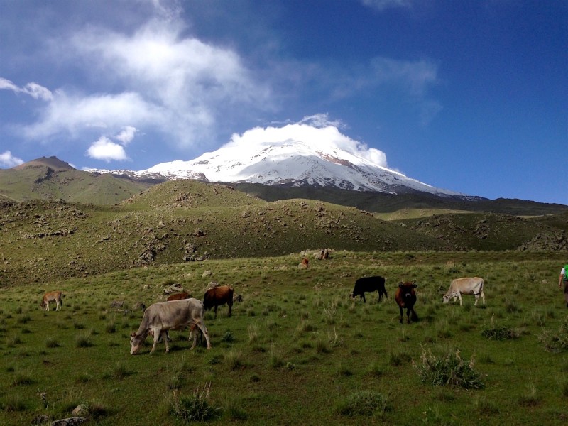 Climb to Ararat