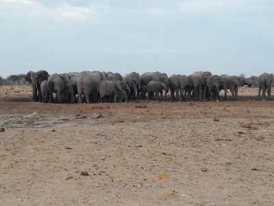 3 Days Camping tour at Etosha National Park