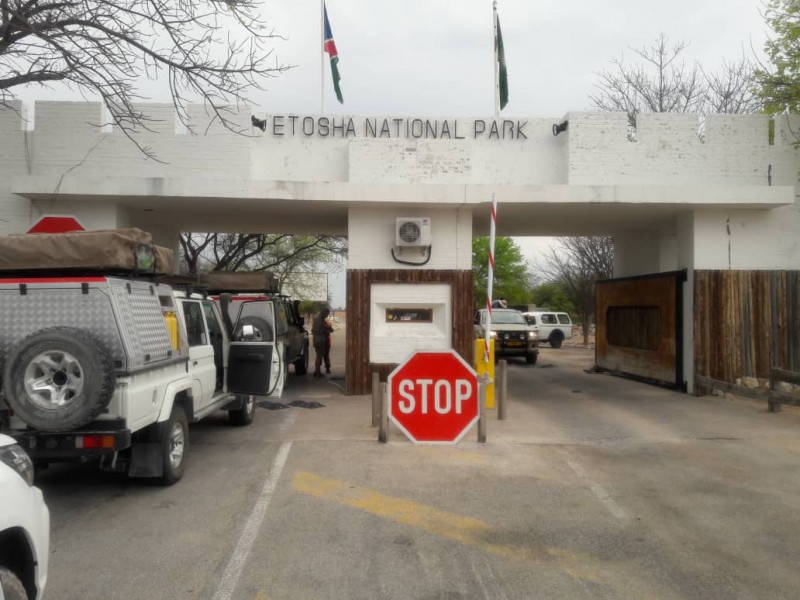 3 Days Camping tour at Etosha National Park