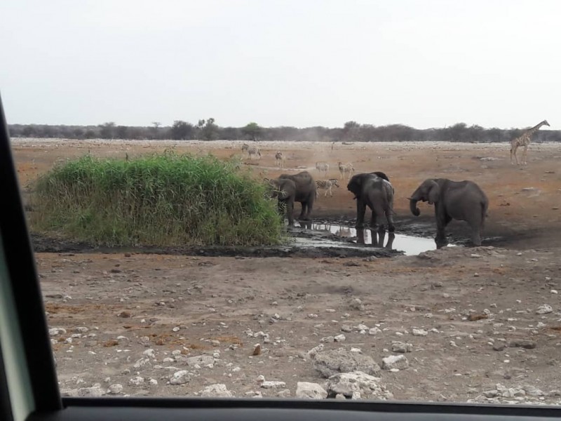 3 Days Camping tour at Etosha National Park