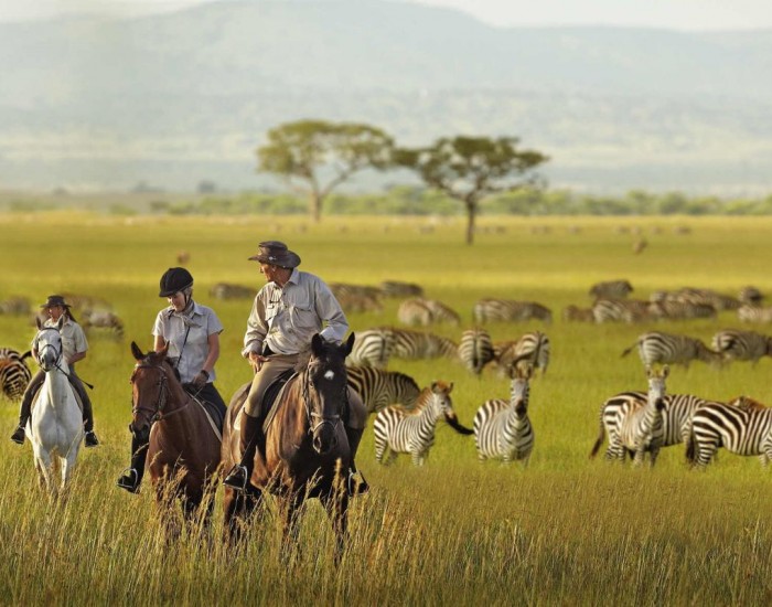 Kenya Safari All Inclusive Packages