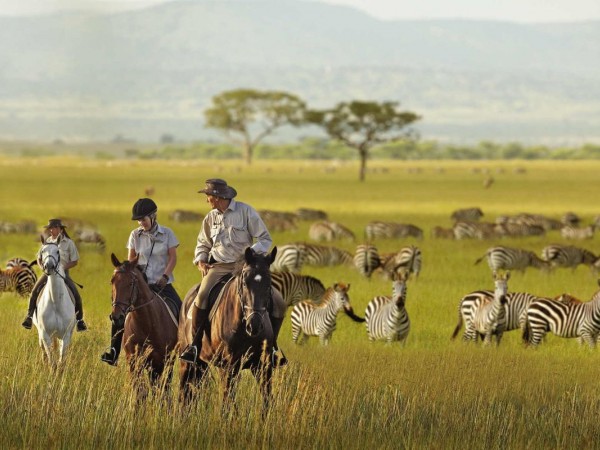 Kenya Safari All Inclusive Packages
