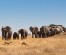 Tanzania Family Safari | 8 Day Family Safari in Tanzania with Reasonable Budgets