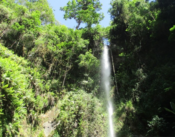 Napuru waterfall day trip