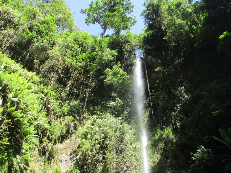 Napuru waterfall day trip
