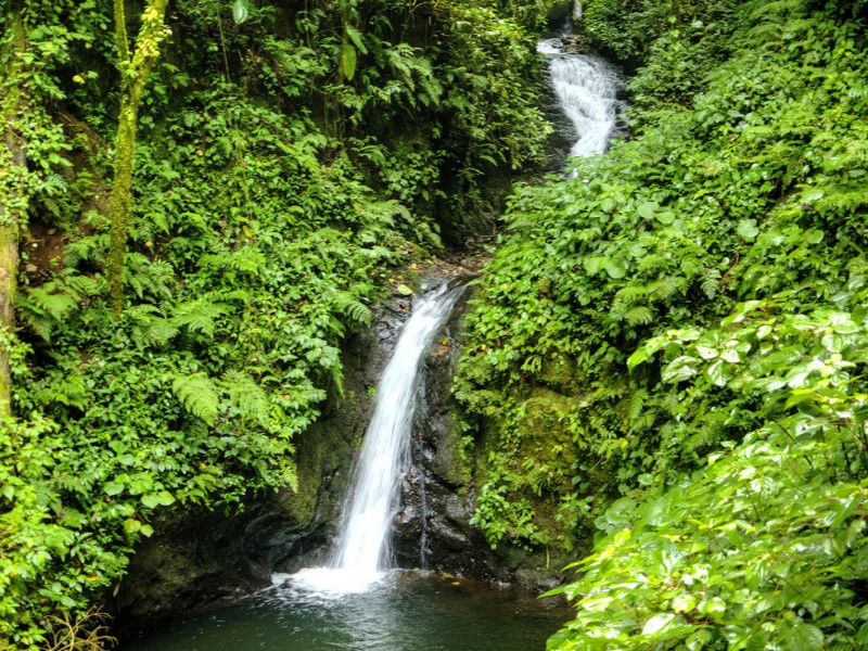 Monteverde Nature Reserve