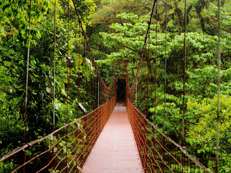 Monteverde Nature Reserve