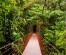 Monteverde Nature Reserve