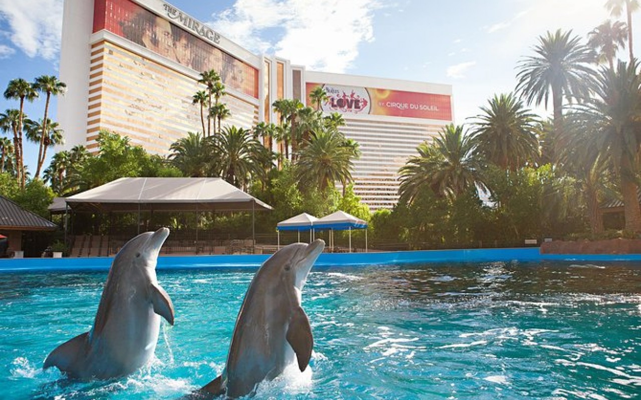 Siegfried Roy S Secret Garden And Dolphin Habitat At The Mirage