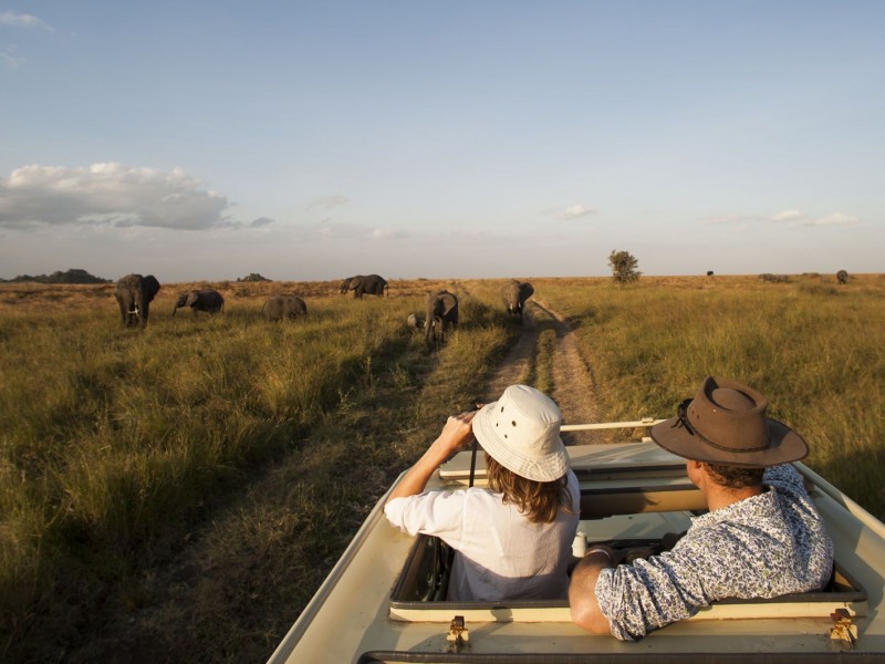 Tanzania Family Safari | 8 Day Family Safari in Tanzania with Reasonable Budgets