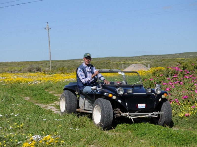 Beach Buggy Fynbos Safari