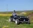 Beach Buggy Fynbos Safari