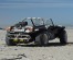 Beach Buggy Fynbos Safari