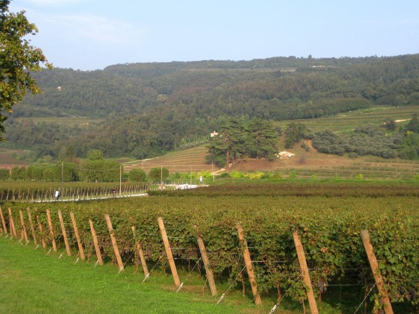 VALPOLICELLA, bike tour