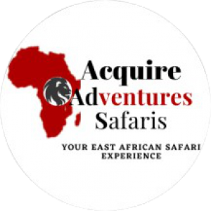 Acquire Adventures Safaris