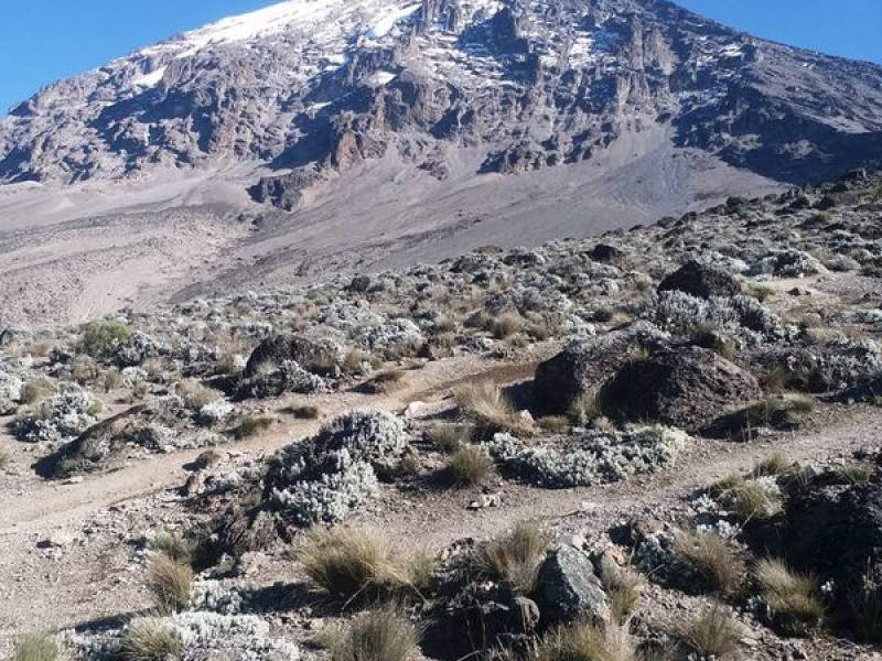 KILIMANJARO HIKING, 5 days marangu