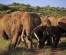 3 Days Amboseli Budget Package Camping Safari Holiday Tours