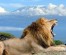 8 Days Kenya safari - visit 4 parks