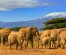 Amboseli National Park Safari-3 Days, 2 Nights