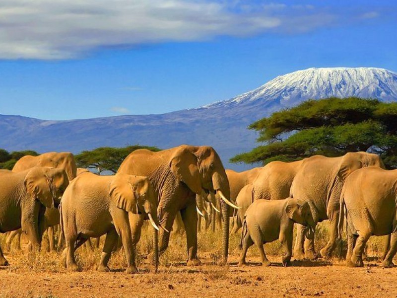 Amboseli National Park Safari-3 Days, 2 Nights