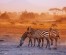 10 Days Lake Turkana Camping Safari Tours