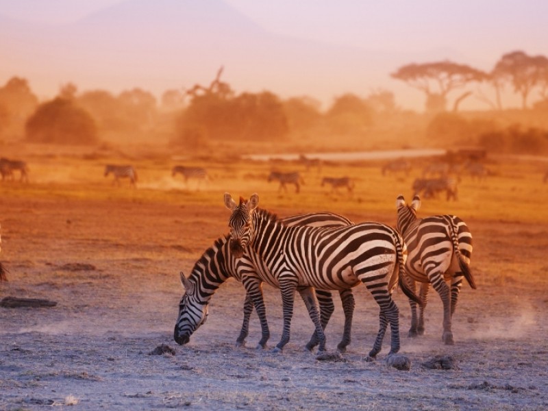 10 Days Lake Turkana Camping Safari Tours