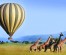 4 Days Masai Mara Budget Camping Safari Tours