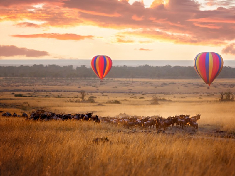 6 Days Masai Mara Lake Nakuru Budget Camping Safari