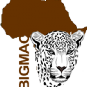 Bigmac Africa safaris