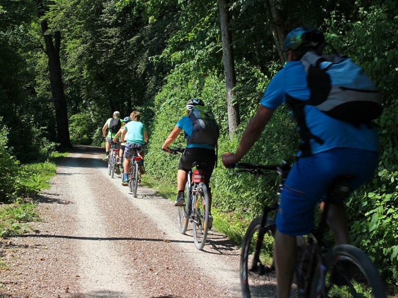 Mount Kilimanjaro biking tour