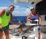 Offshore Full Day fishing charter in Punta Cana, the boat Sherlock II 39' . The best crew!