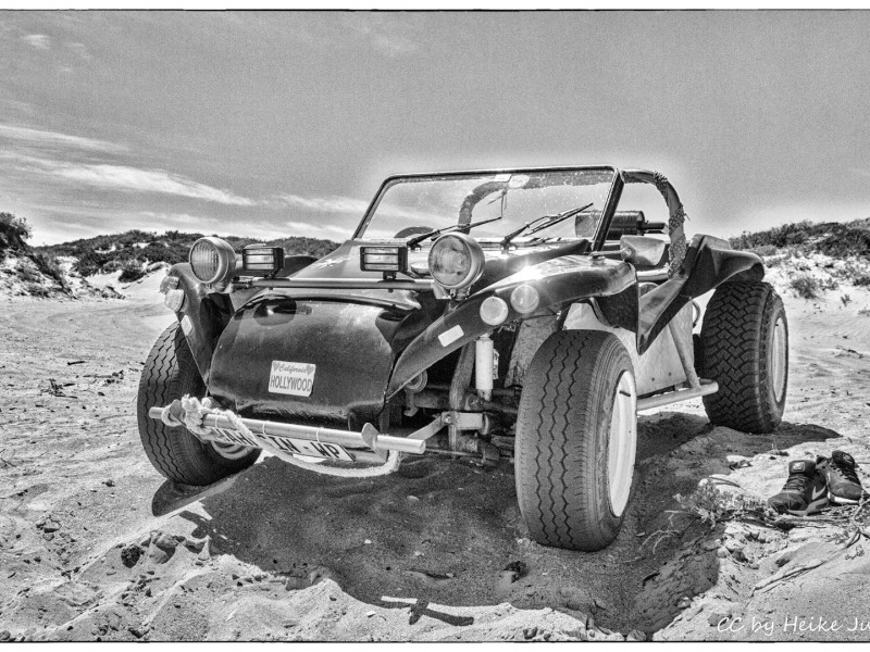 Beach Buggy Fynbos Safari