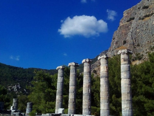 All In One Tour Priene, Miletus, Didyma