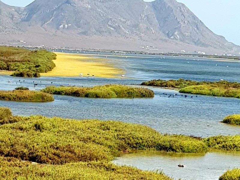 Gorgeous Cabo de Gata