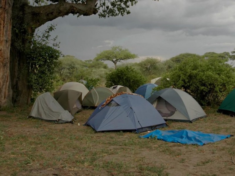 Tanzania Camping Safari