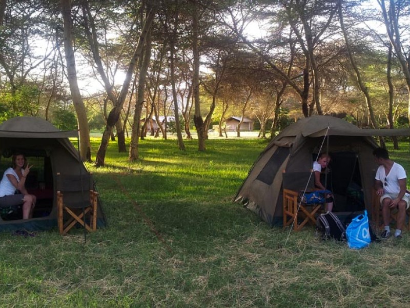 6 Day Budget Tanzania Safari Tour Packages: Lake Manyara National Park, Serengeti  National Park, Tarangire National Park, Ngorongoro crater, and Arusha National park.