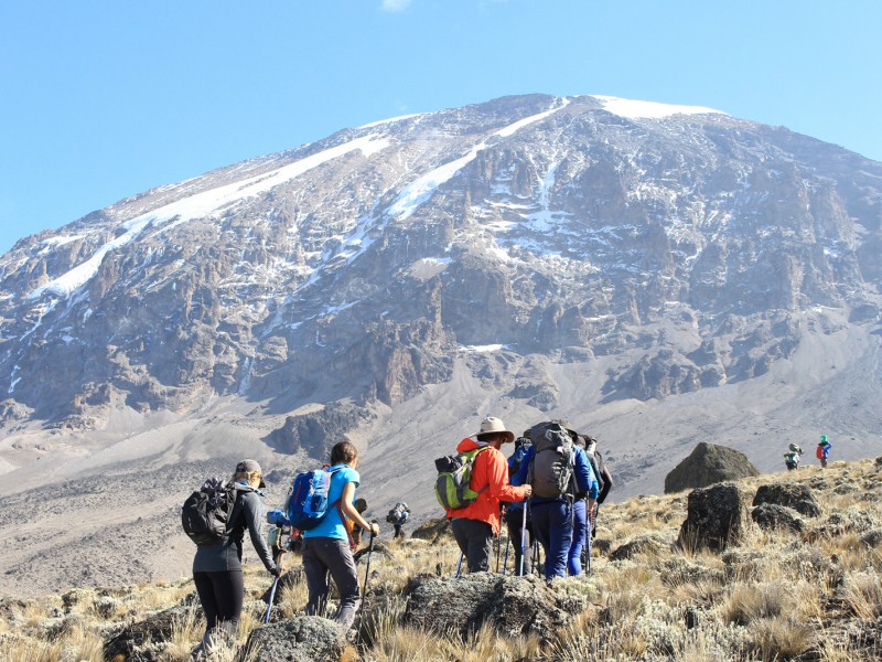 8 Days Kilimanjaro Climbing Tour Via Lemosho Route