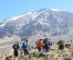 8 Days Kilimanjaro Climbing Tour Via Lemosho Route