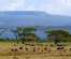 8 Days Kenya Camping Adventure Safaris