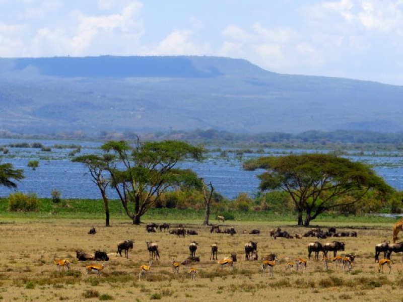 8 Days Kenya Camping Adventure Safaris