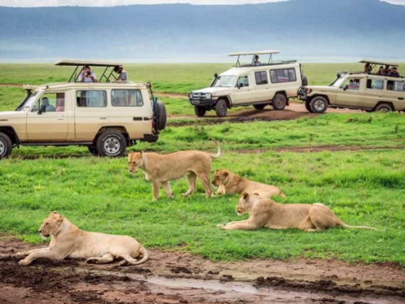 8 Days Kenya Camping Adventure Safaris