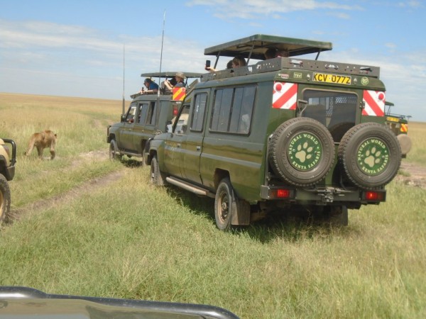 Masai Mara Game Reserve, 2 Days 1 Night Safari