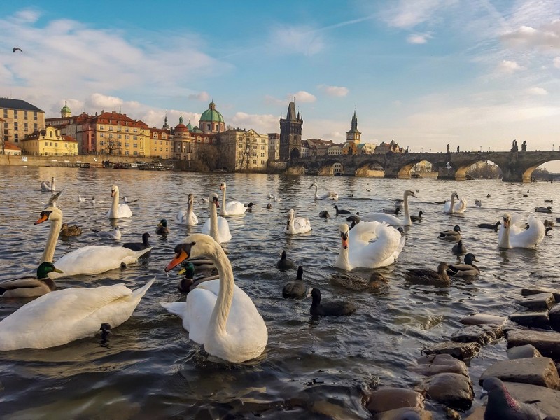 Charles Bridge - Quest tours of Prague