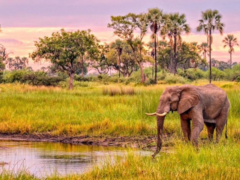 9 Days Kenya Family Safari Holiday Packages