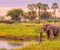 9 Days Kenya Family Safari Holiday Packages