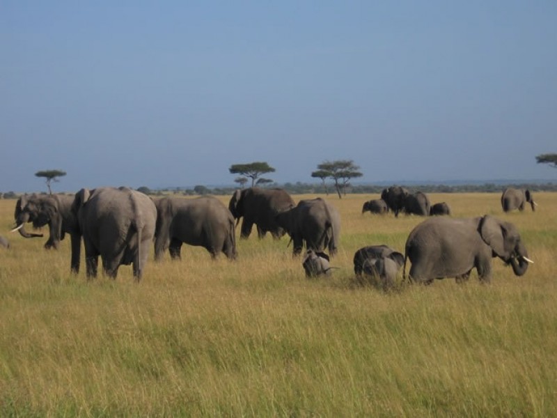 Explore The Amazing Aberdare Ranges & Scenic Kenya Parks